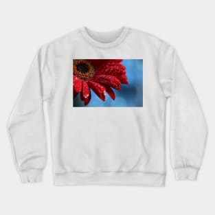 Blue Red Delicious Crewneck Sweatshirt